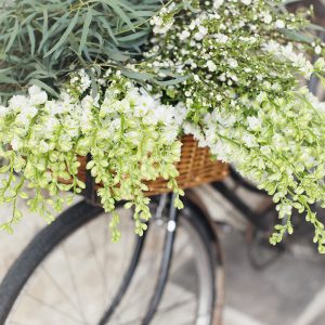 Botanicals Bike with Flowers