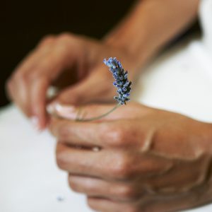 Bride hands with lavender