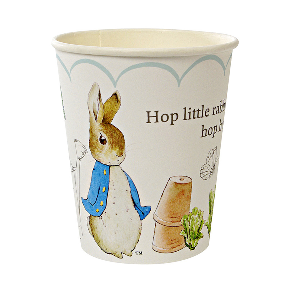 Peter Rabbit Party Bag Ideas Place Setting Napkins Cups